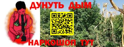 стафф Шебекино