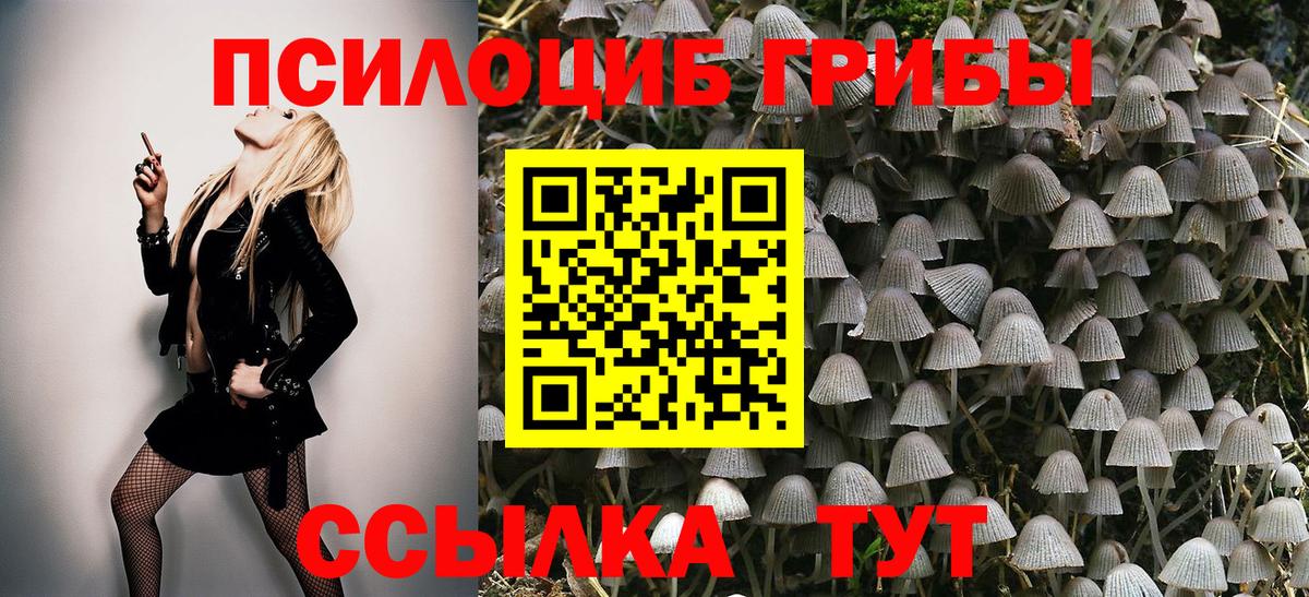 Псилоцибиновые грибы GOLDEN TEACHER Назарово
