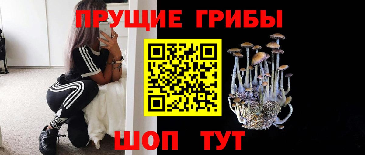 Галлюциногенные грибы Magic Shrooms  Вход с VPN  Псилоцибиновые грибы Cubensis  Назарово 